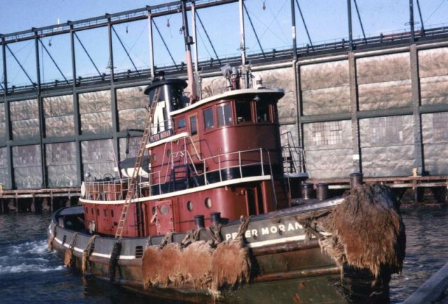 PETER MORAN 1941.jpg